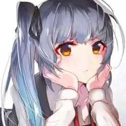 二次元老司机